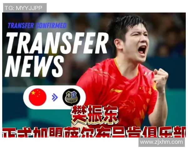 樊振东勇闯德甲联赛乒乓球界新篇章乒协全力支持背后故事揭秘