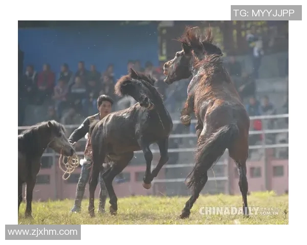 梦八队与中国队精彩对决高清回放全场比赛亮点与精彩瞬间解析